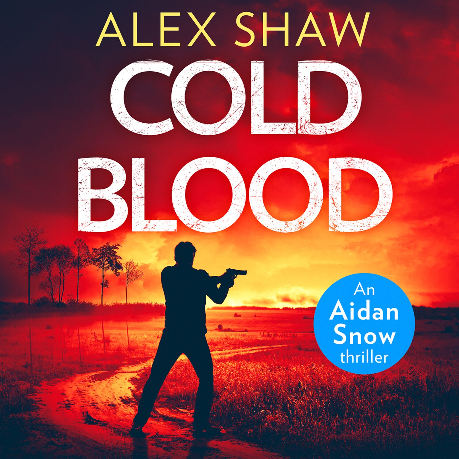 An Aidan Snow SAS Thriller