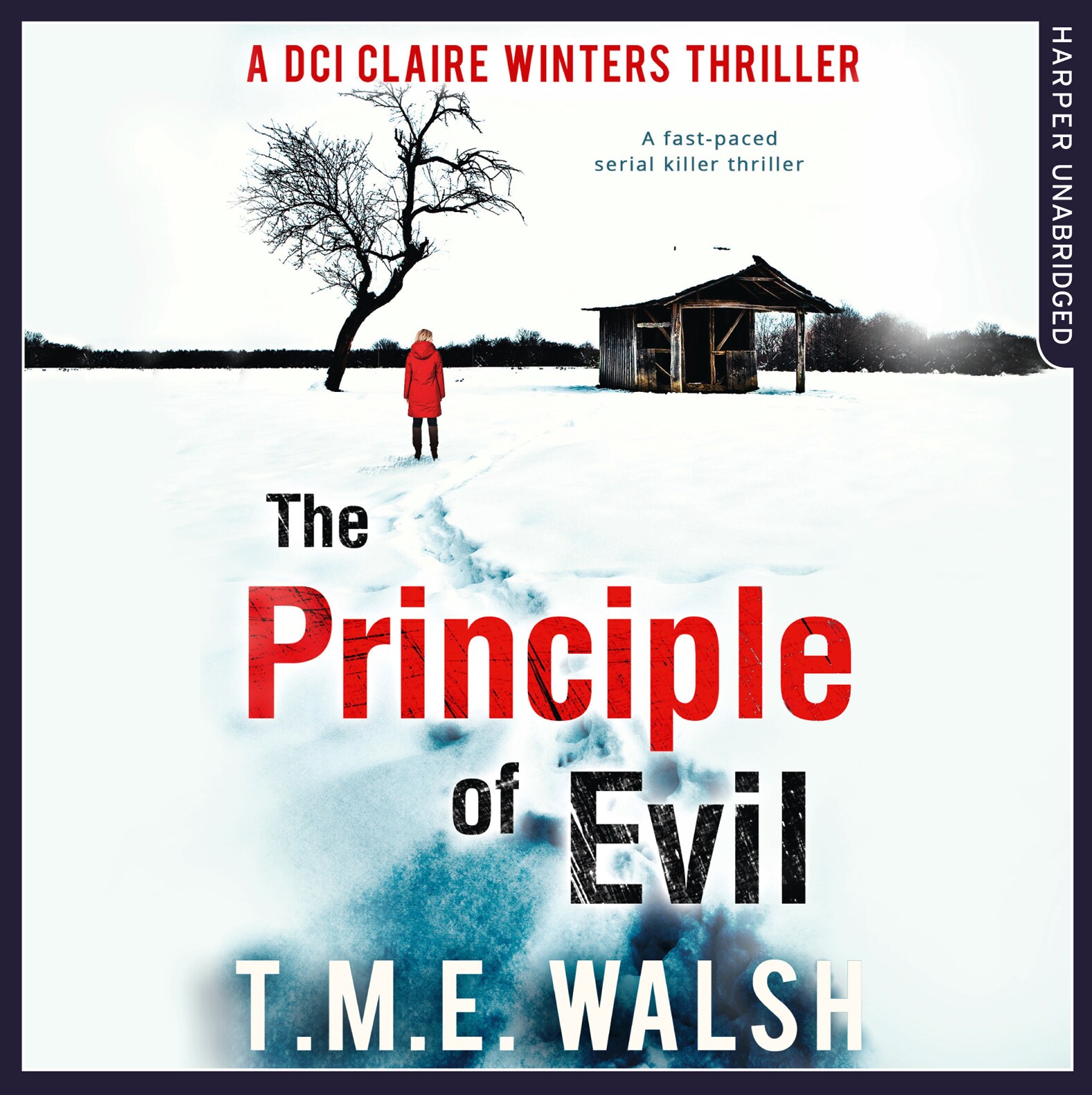 DCI Claire Winters crime series
