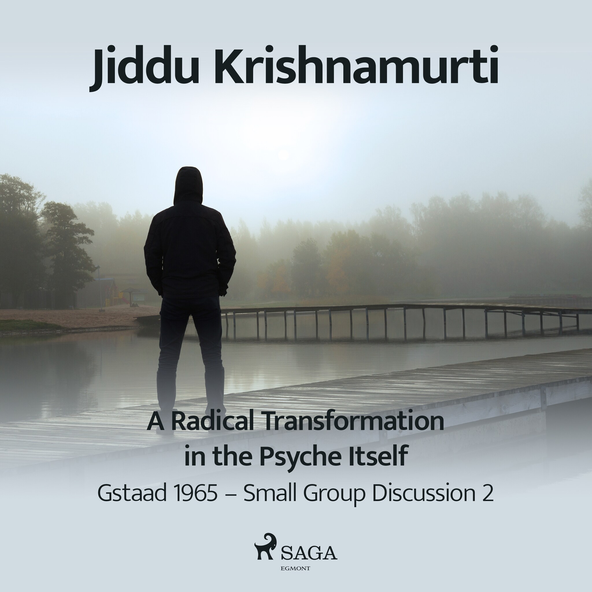 A Radical Transformation in the Psyche Itself