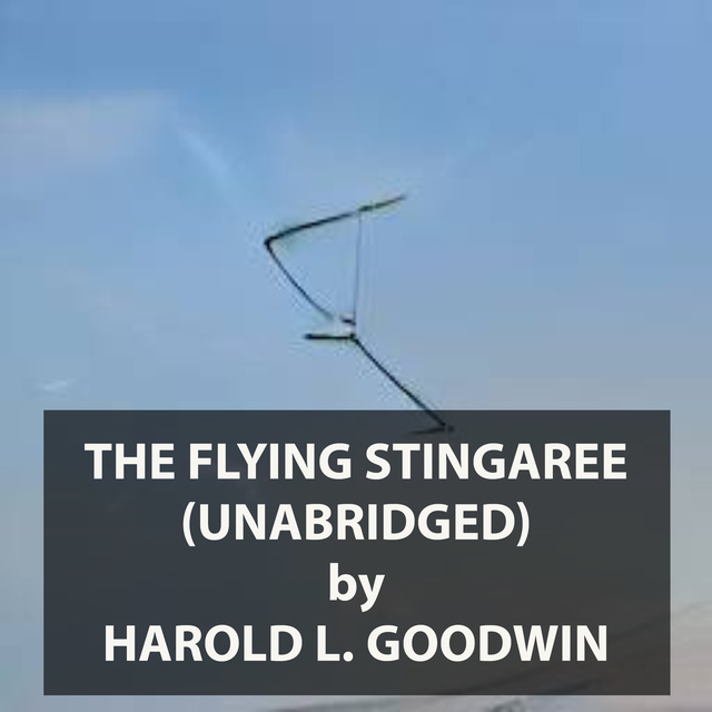 The Flying Stingaree