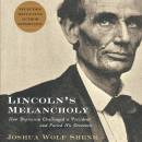 Lincoln's Melancholy: How Depression Challenged a President and Fueled His Greatness