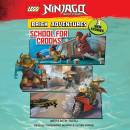 School for Crooks: LEGO Ninjago: Brick Adventures, Book 2