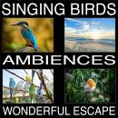 Singing Birds Ambiences, Wonderful Escape
