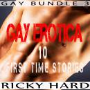 Gay Erotica: 10 First Time Stories: Gay Bundle 3