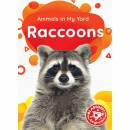 Raccoons