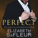 Perfect: A hot billionaire romance