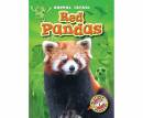 Red Pandas