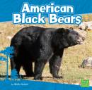 American Black Bears