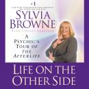 Life on the Other Side: A Psychic's Tour of the Afterlife