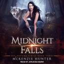 Midnight Falls: Sky Brooks, Book 3