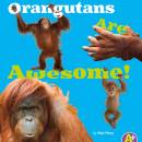 Orangutans Are Awesome!
