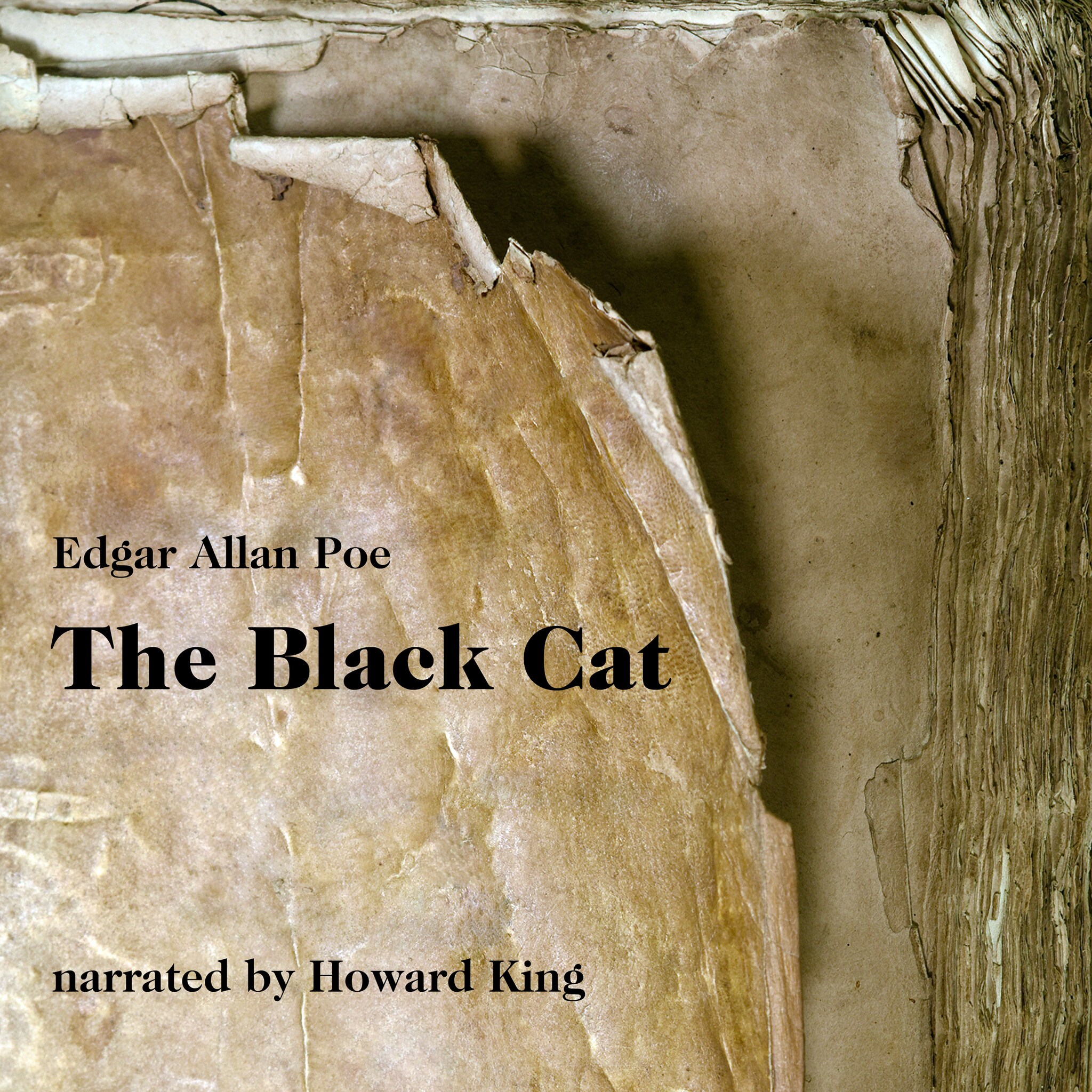 The Black Cat (Unabridged)