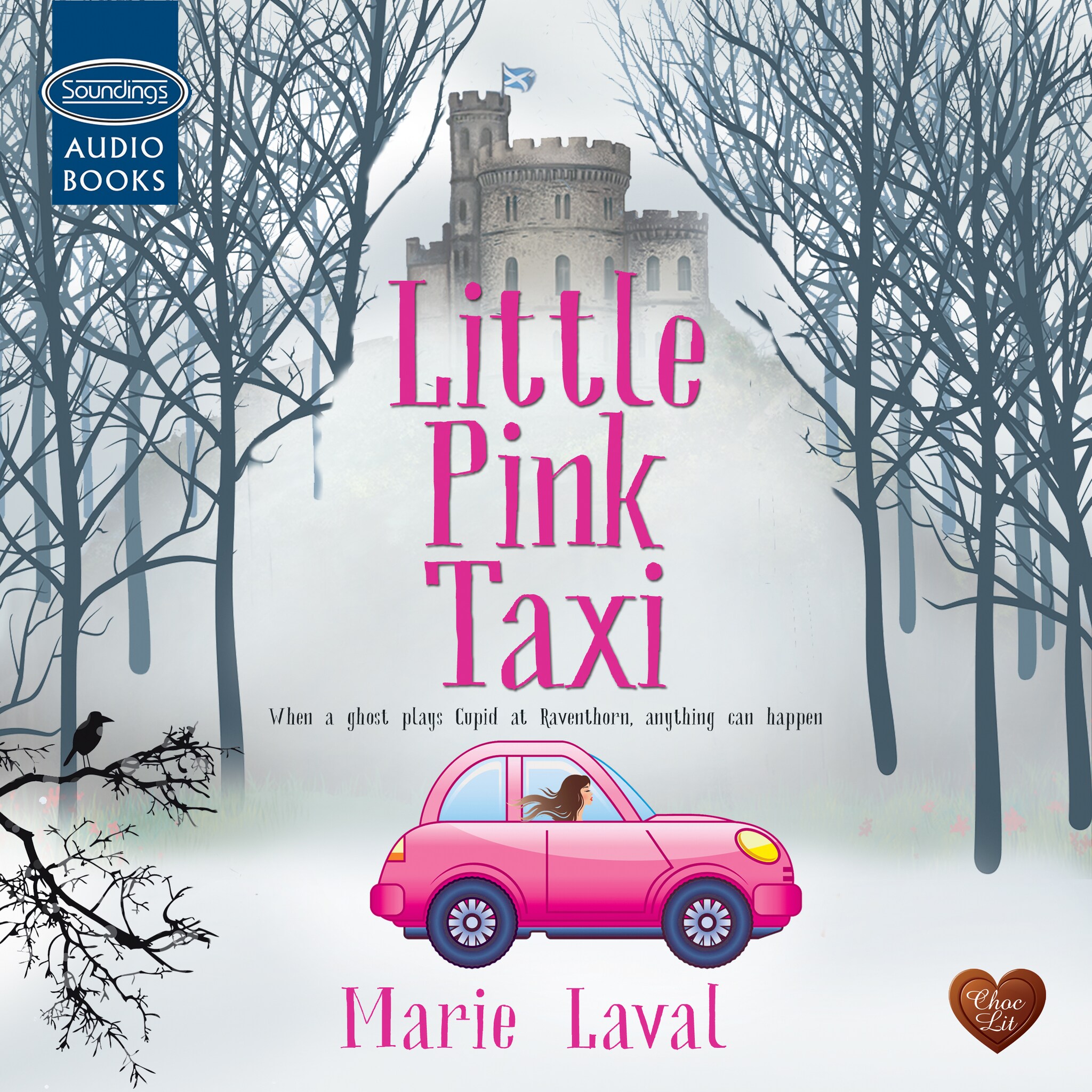 Little Pink Taxi