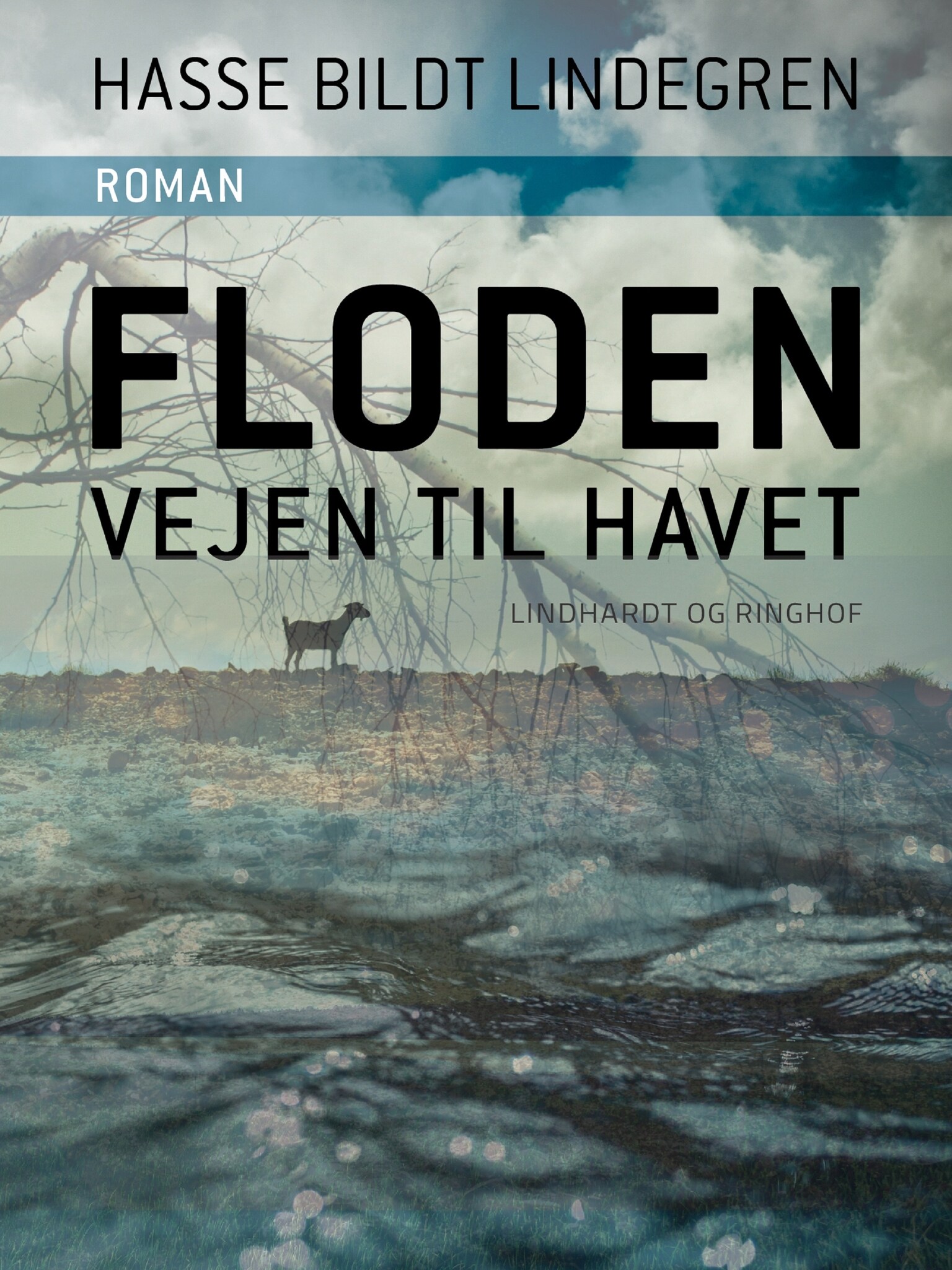 Floden - vejen til havet