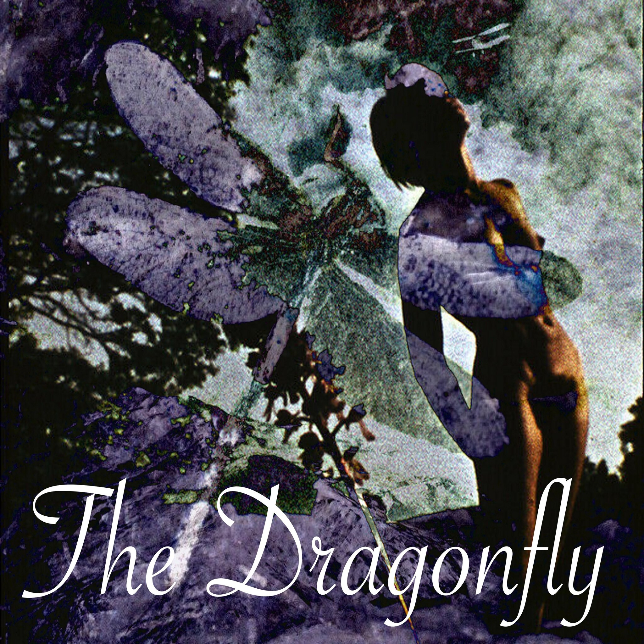 The Dragonfly