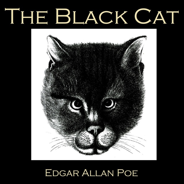 The Black Cat