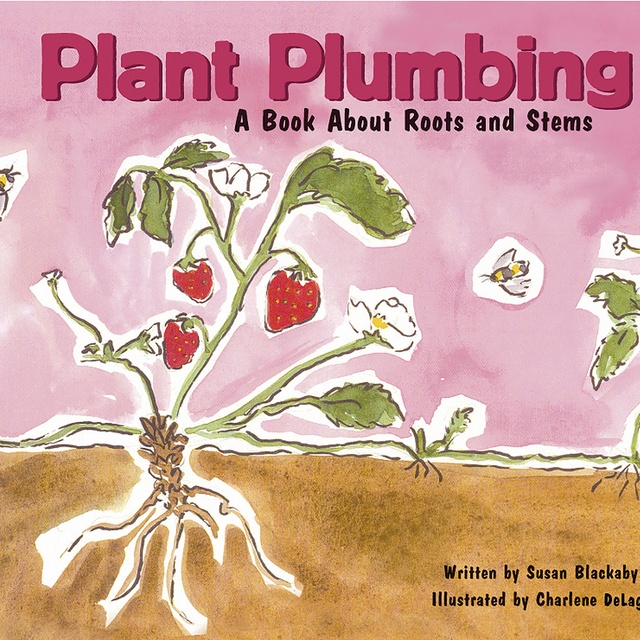 Plant Plumbing