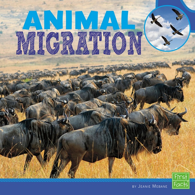 Animal Migration