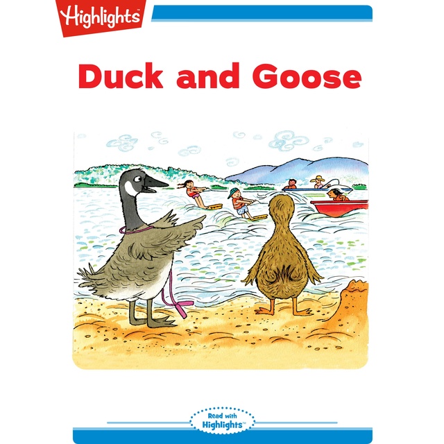 Duck and Goose