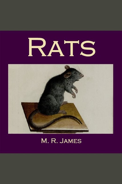 Rats