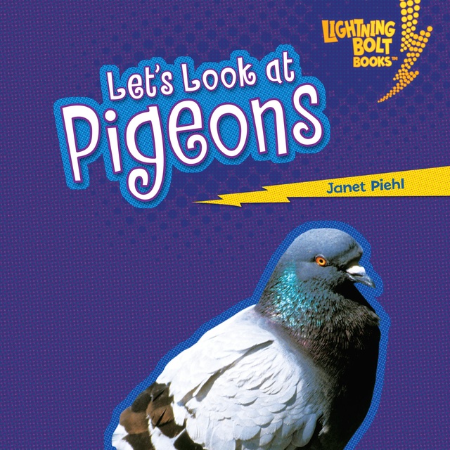 Let's Look at Pigeons