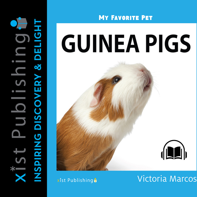 My Favorite Pet: Guinea Pigs