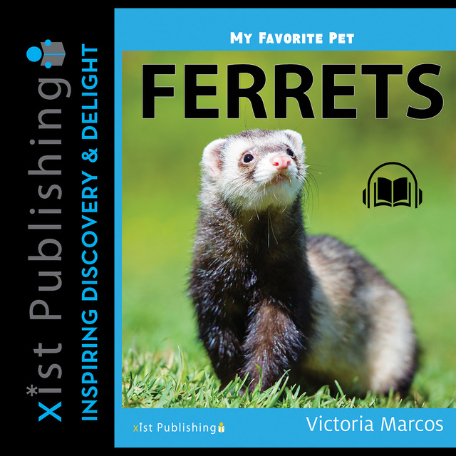 My Favorite Pet: Ferrets