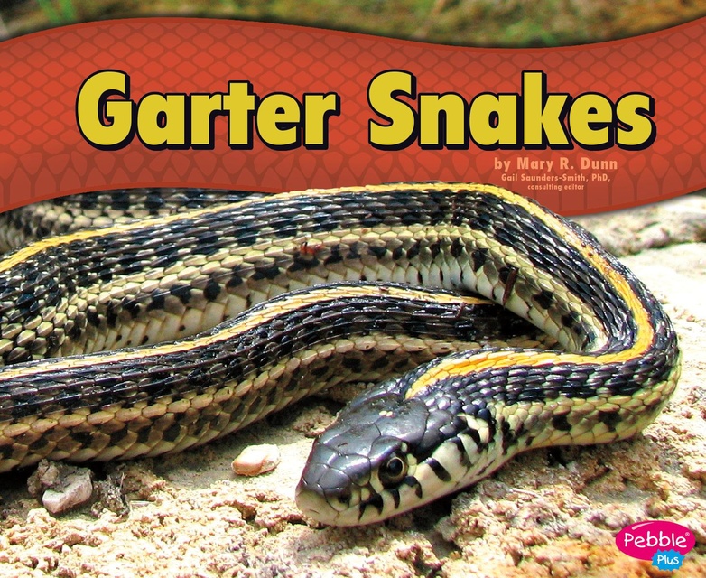 Garter Snakes