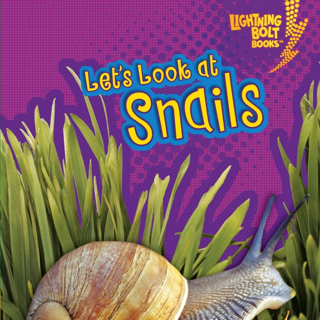 Let's Look at Snails