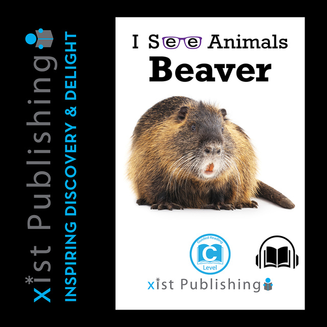 Beaver