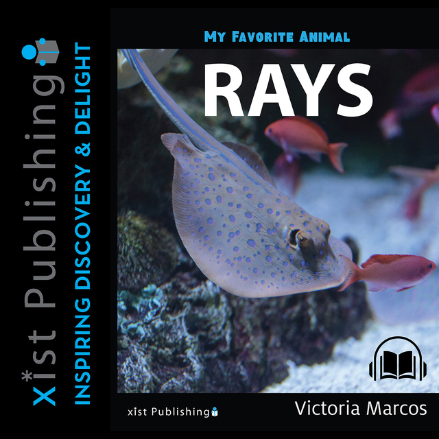My Favorite Animal: Rays