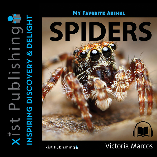 My Favorite Animal: Spiders
