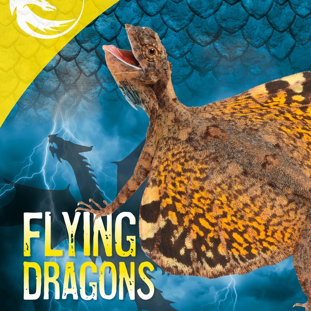 Flying Dragons