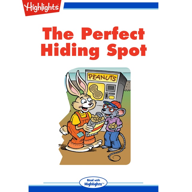 The Perfect Hiding Spot