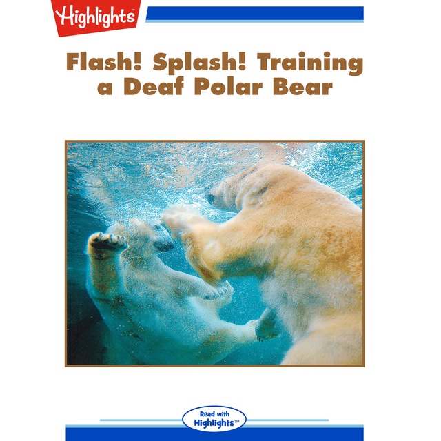 Flash! Splash! Training a Deaf Polar Bear