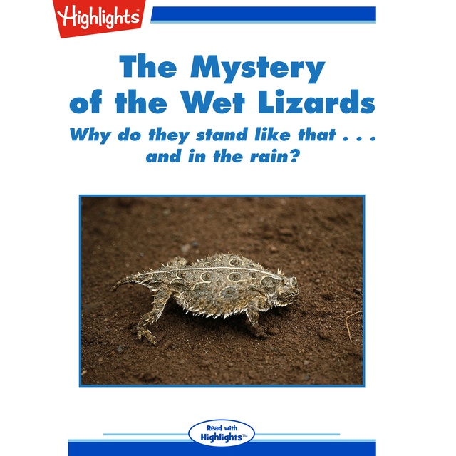 The Mystery of the Wet Lizards