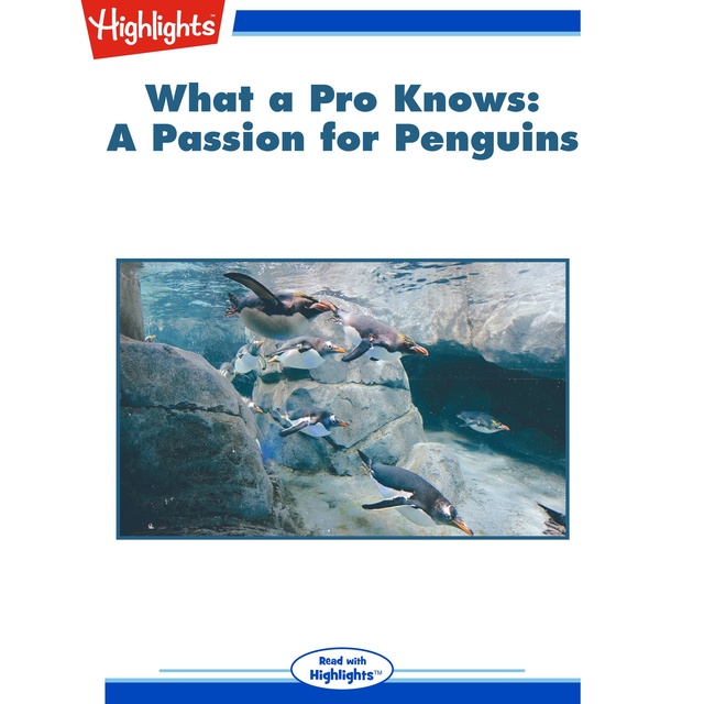 What a Pro Knows A Passion for Penguins