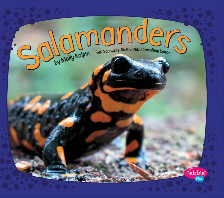 Salamanders
