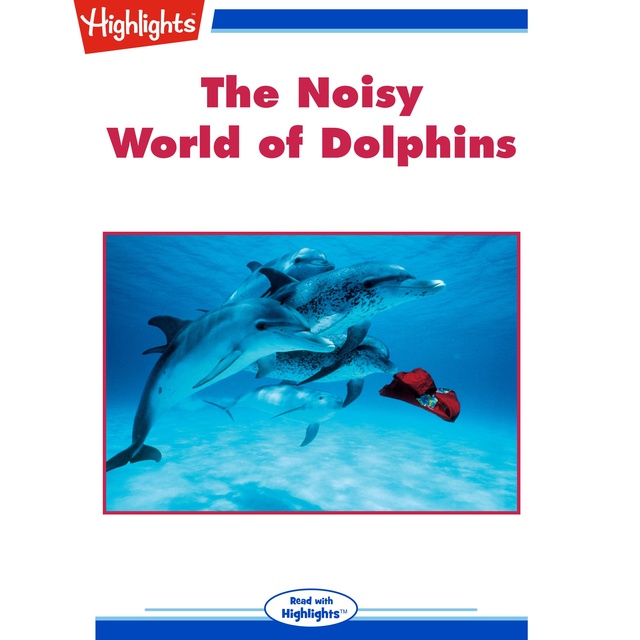 The Noisy World of Dolphins