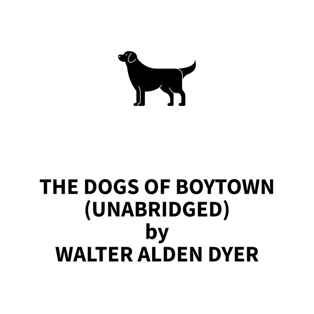 The Dogs Of Boytown