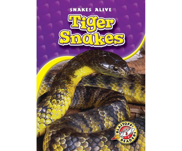 Tiger Snakes