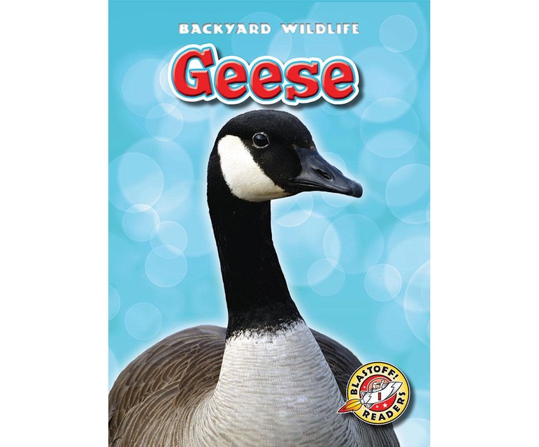 Geese