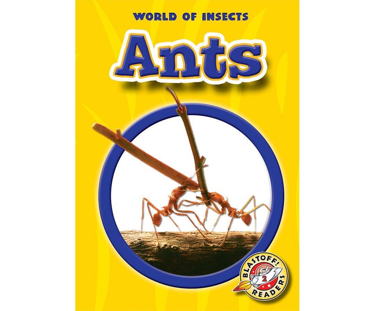 Ants