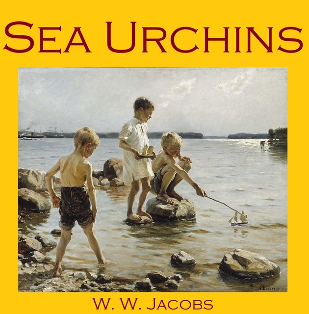 Sea Urchins