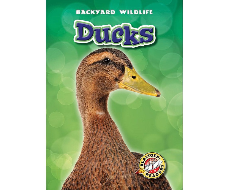 Ducks