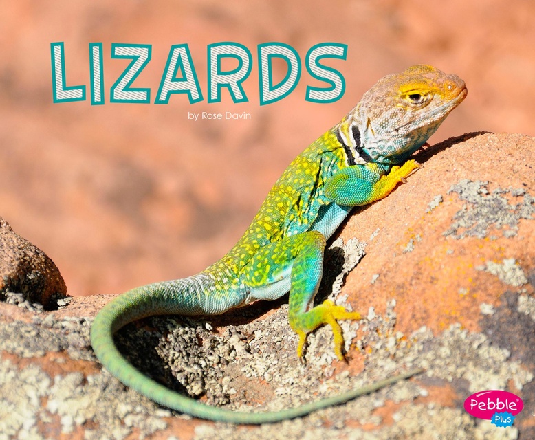 Lizards