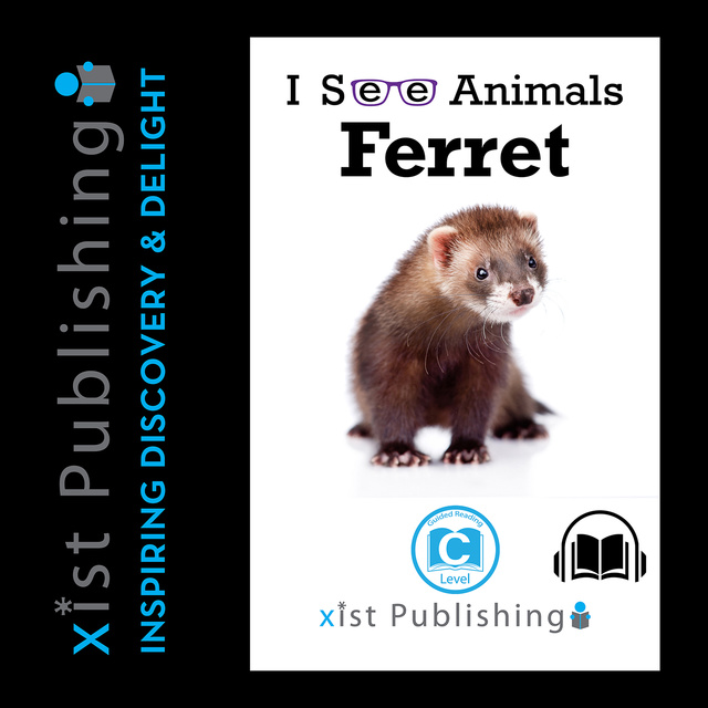 Ferret