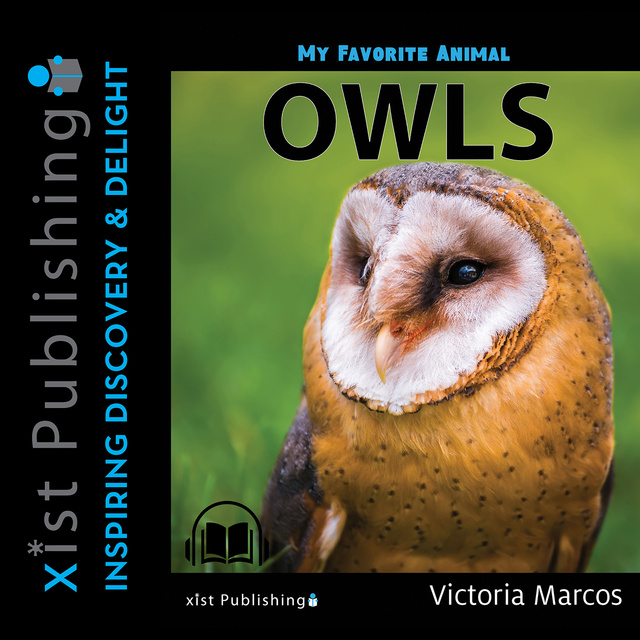 My Favorite Animal: Owls