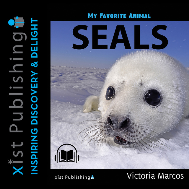 My Favorite Animal: Seals