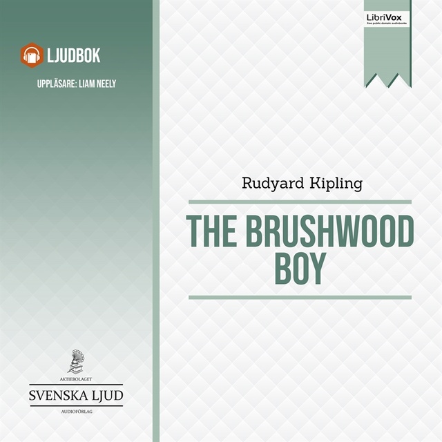 The Brushwood Boy